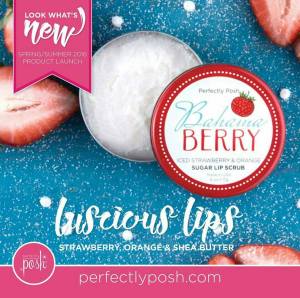 Bahama Berry Lip Scrub